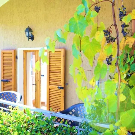 Lägenhet Cosy In Prabione With Balcony 30 Sqm Private Parking *